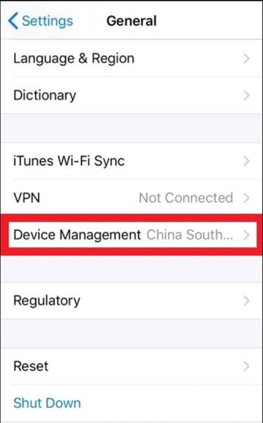 Screenshot of the general settings of IOS device