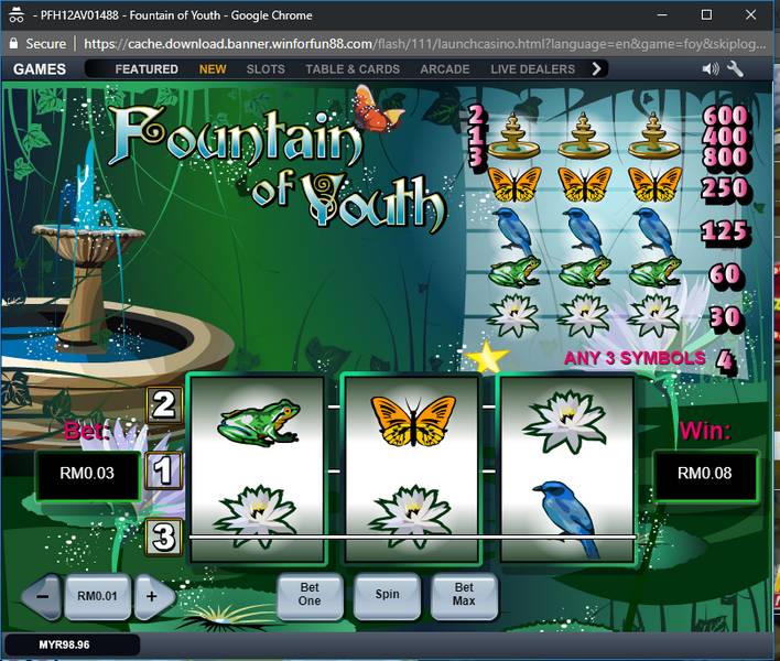 image of 2nd Foutain of Youth game