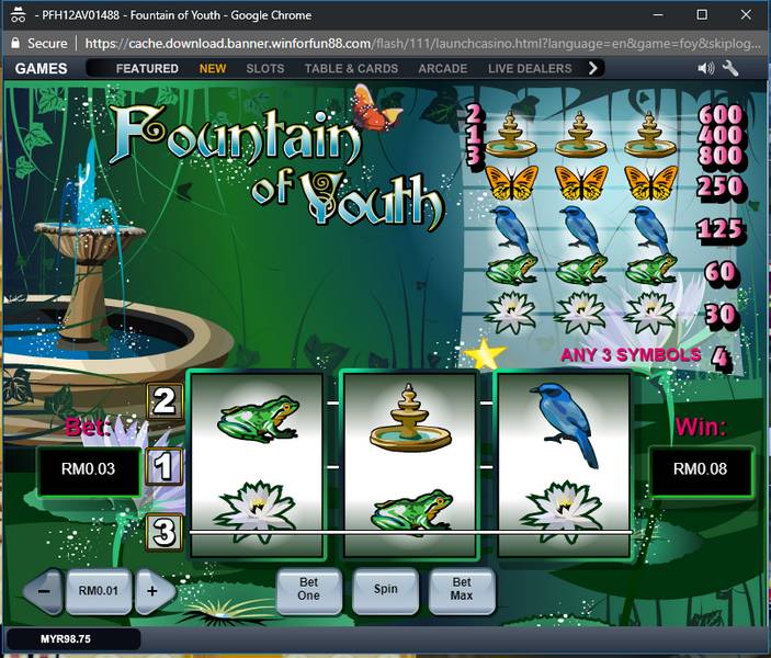 image of 4th Foutain of Youth game