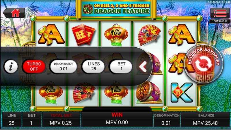 Double Fortune Slot Game